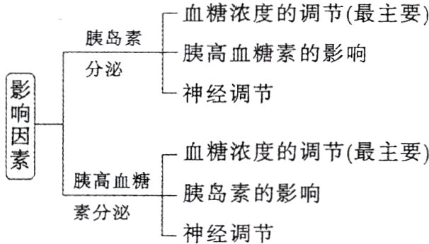 素分泌神经调节