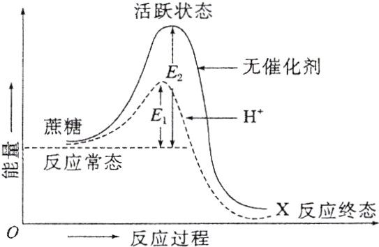 X反应终态反应过程