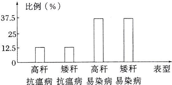 高秆矮秆高秆矮秆表型抗瘟病抗瘟病易染病易染病