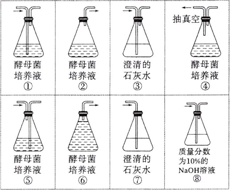 培养液石灰水培养液NaOH溶液