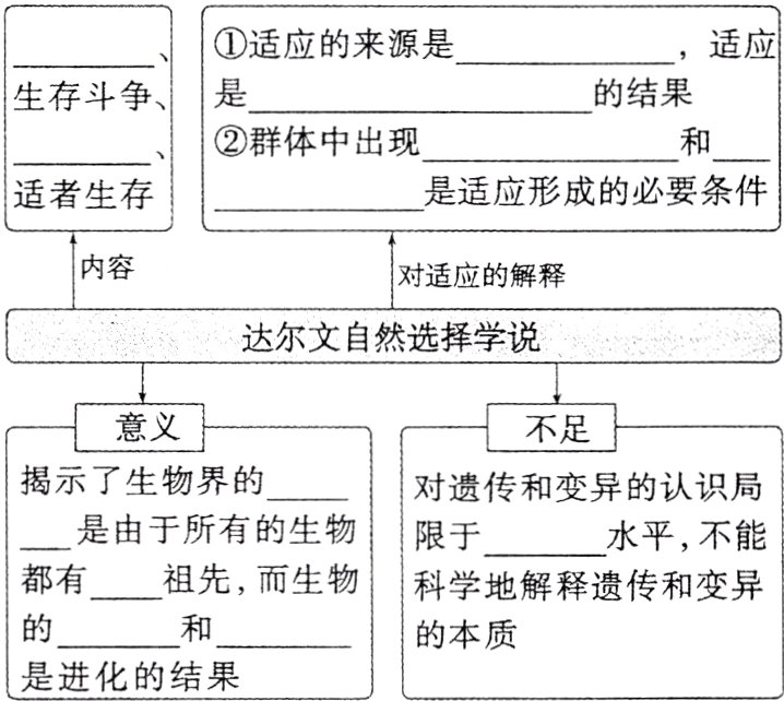 的本质是进化的结果