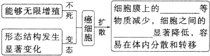 形态结构发生易在体内分散和转移显著变化