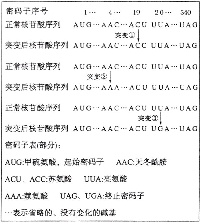 表示省略的没有变化的碱基