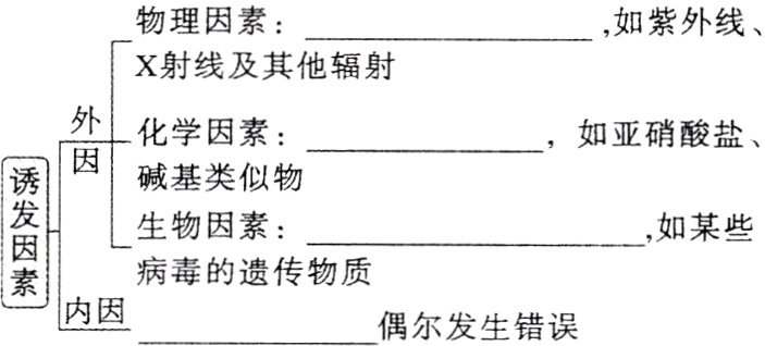 病毒的遗传物质内因偶尔发生错误