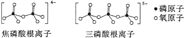 o氧原子焦磷酸根离子三磷酸根离子