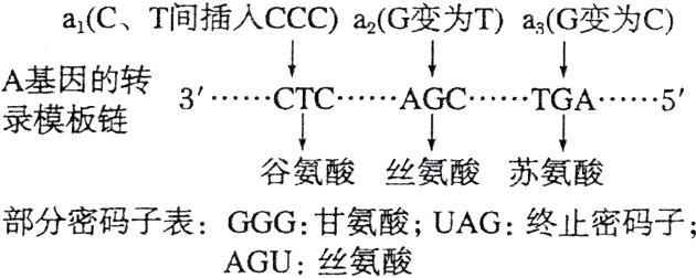 部分密码子表GGG甘氨酸UAG终止密码子AGU丝氨酸