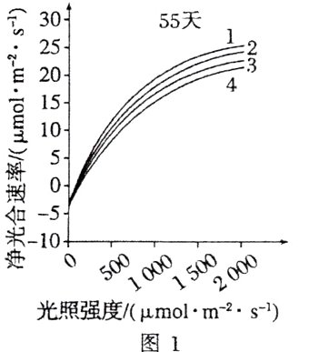 光照强度molms图1