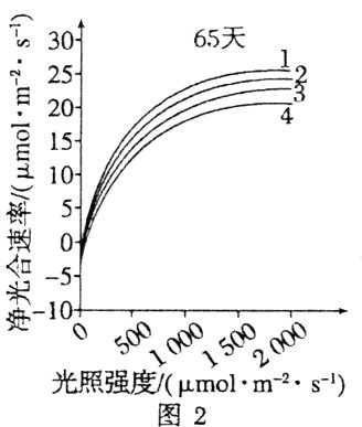 光照强度molms1图2
