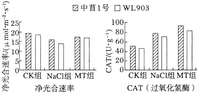 合CK组NaCI组MT组CAT过氧化氢酶净光合速率