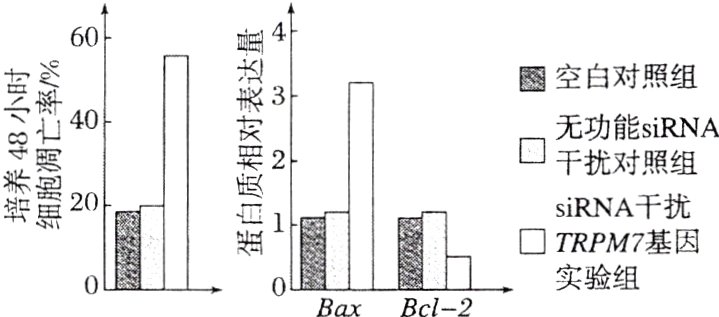 鼍鄹基因BaxBcl2