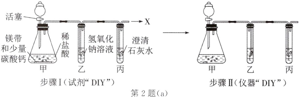 步骤I试剂DIY步骤II仪器DIY第2题a