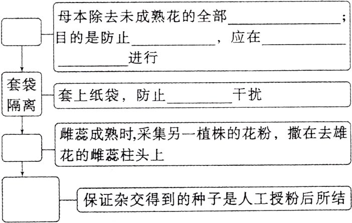 保证杂交得到的种子是人工授粉后所结