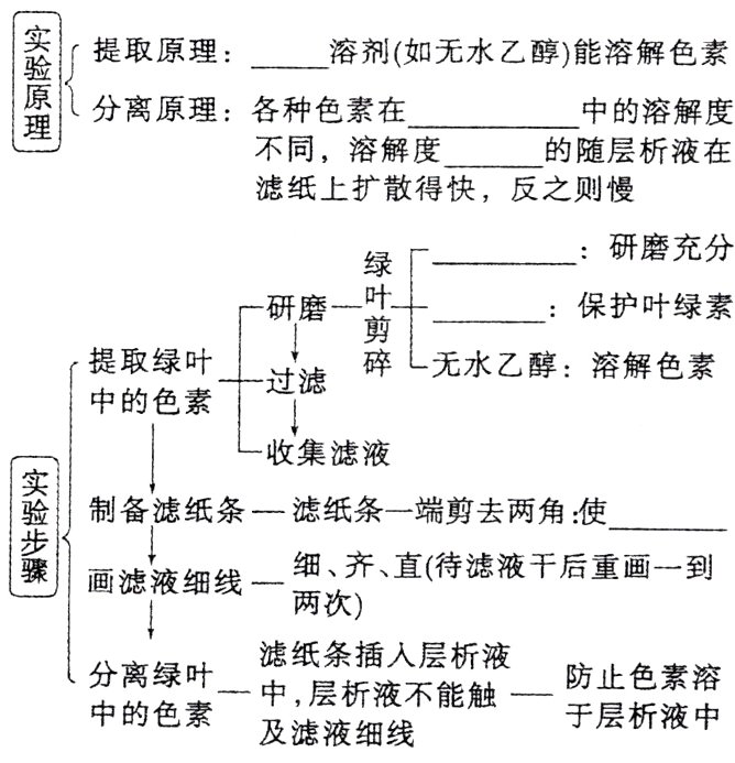 分色中层析液不能触防止及滤液细线