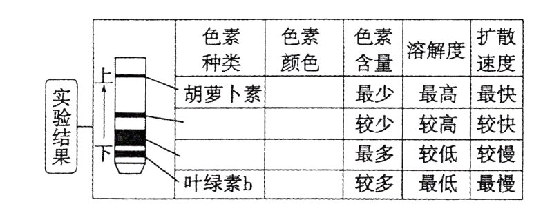 较低较慢最低最慢