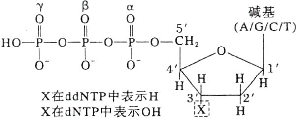 X在ddNP中表示H363H