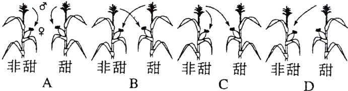 非甜甜非甜甜非甜甜非甜甜