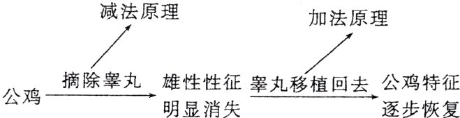 摘除睾丸雄性性征睾丸移植回去公鸡特征公鸡明显消失逐步恢复