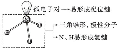 面NH易形成氢键