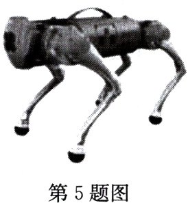 第5题图