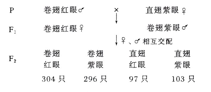 304只296只97只103只