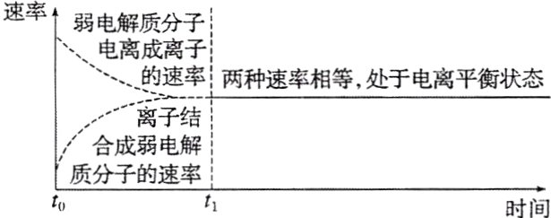 质分子的速率时间