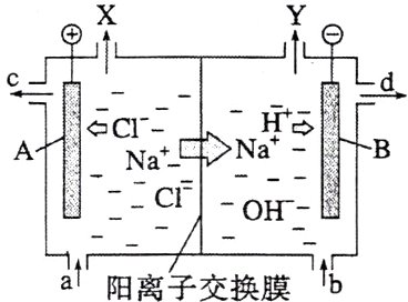 at忄b阳离子交换膜