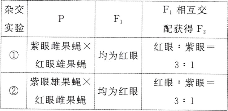 均为红眼红眼雌果蝇31