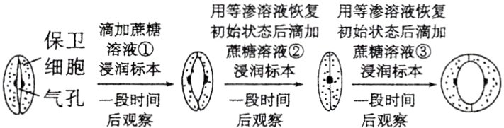 后观察后观察后观察