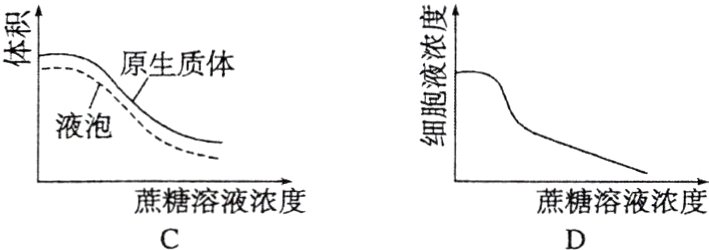 蔗糖溶液浓度蔗糖溶液浓度
