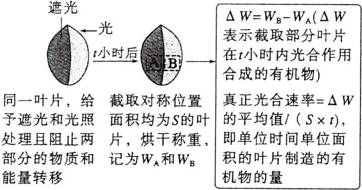 积的叶片制造的有部分的物质和记为WA和WB机物的量能量转移