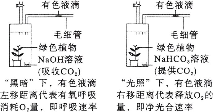左移距离代表有氧呼吸右移距离代表释放O2的量即净光合速率消耗O2量即呼吸速率