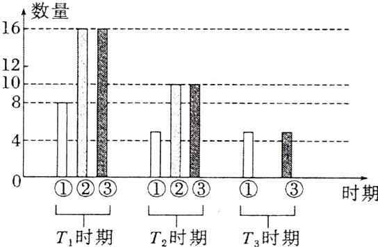 T时期7时期7时期