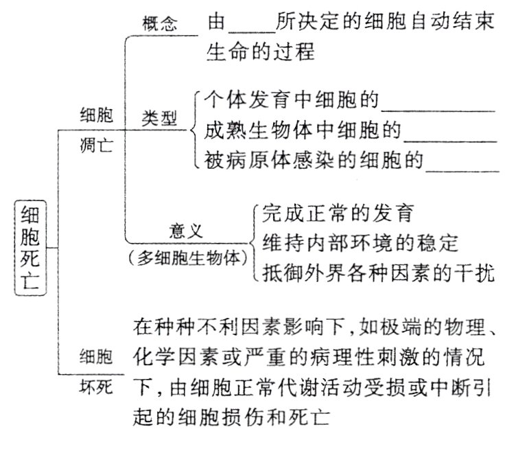 起的细胞损伤和死亡