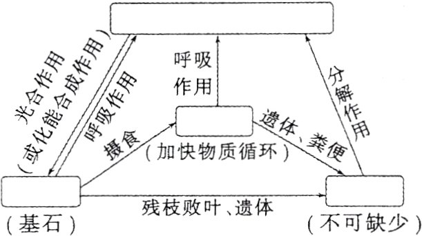 残枝败叶遗体不可缺少基石