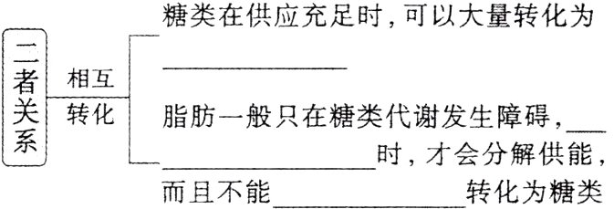 时才会分解供能而且不能转化为糖类