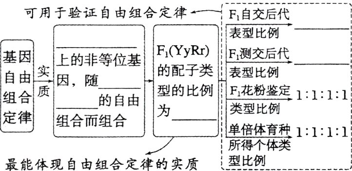 所得个体类n型比例最能体现自由组合定律的实质
