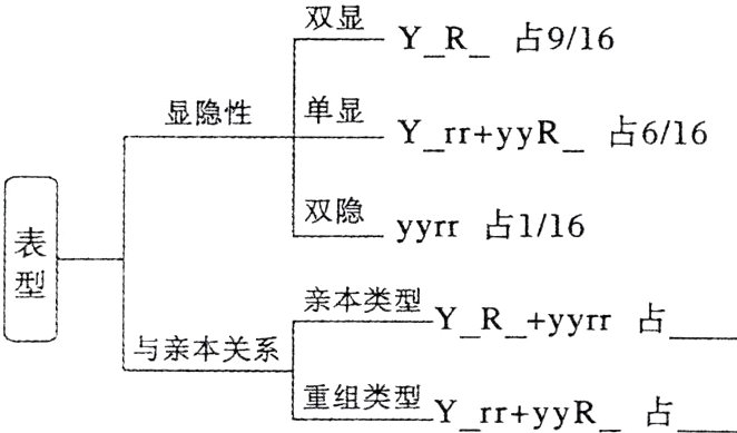 重组类型YrrryyR占