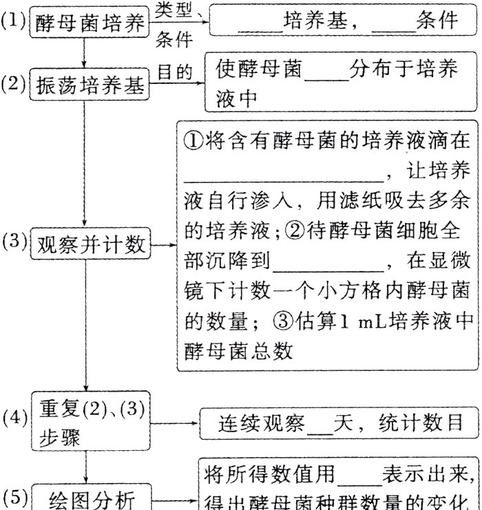 表示出来将所得数值用5绘图分析得出酵母菌种群数量的变化