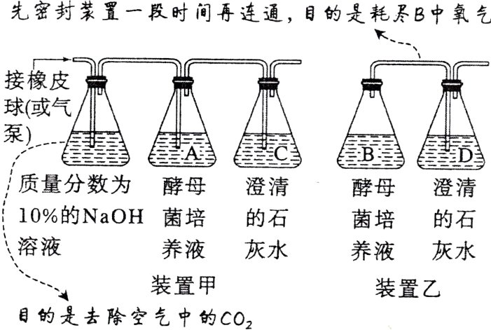 装置甲装置乙目的是去除空乞中的CO2