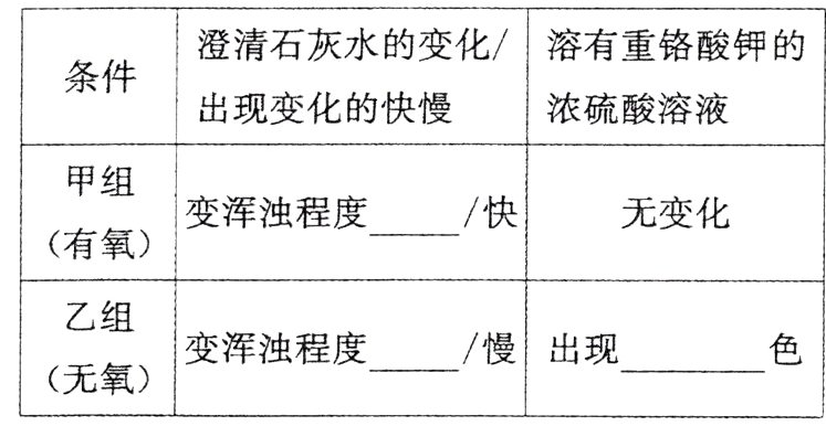 变浑浊程度慢出现无氧