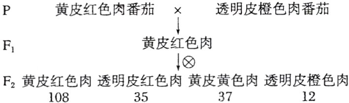 F2黄皮红色肉透明皮红色肉黄皮黄色肉透明皮橙色肉371235108