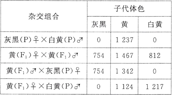 黄F1白黄P11241217