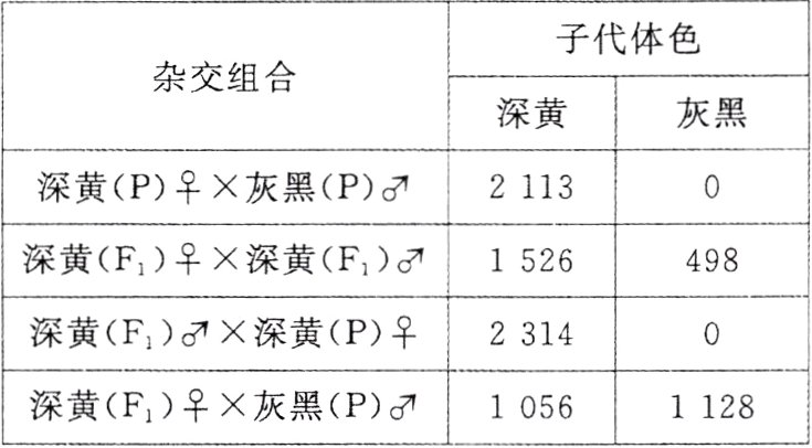 深黄F灰黑P10561128