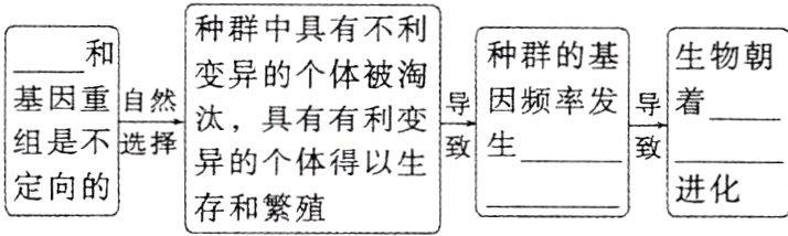 定向的进化存和繁殖