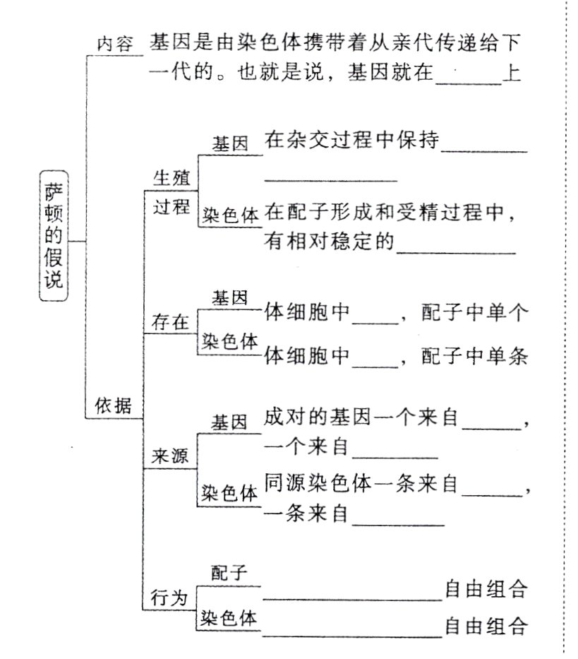 染色体自由组合