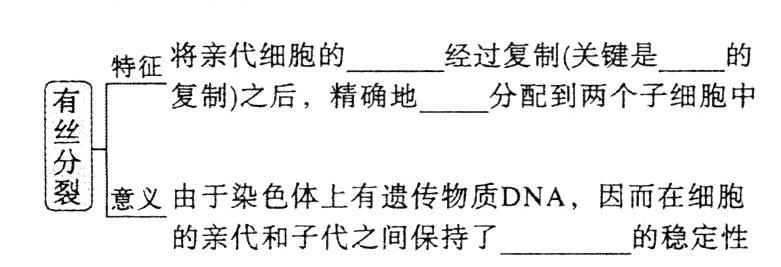 的亲代和子代之间保持了的稳定性