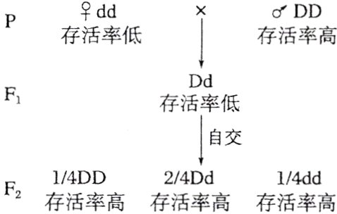 14DD24Dd14ddF2存活率高存活率高存活率高