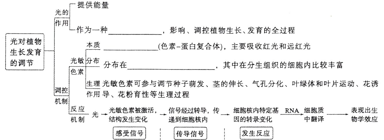 感受信号传导信号发生反应