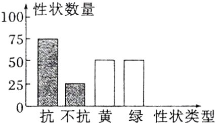 25E抗不抗黄绿性状类型