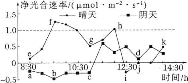 0830虹1030301430时间h05